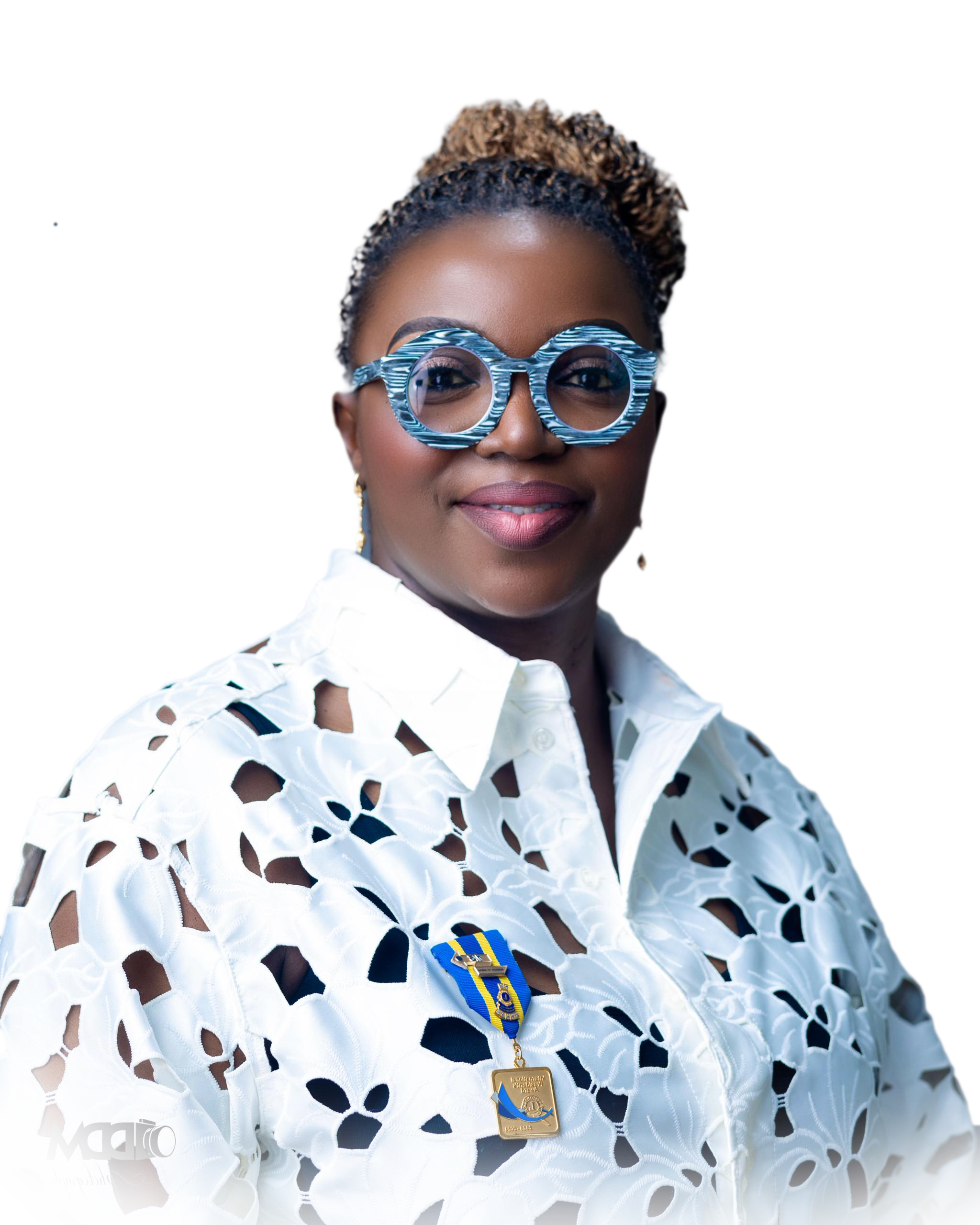 Lion Mary Onu PMJF, NLCF